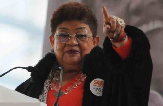 Ernestina Godoy buscará un escaño en el Senado