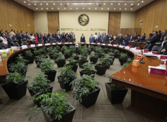 Morena solicita a INE brindar protección a 40 candidatas y candidatos de Guanajuato
